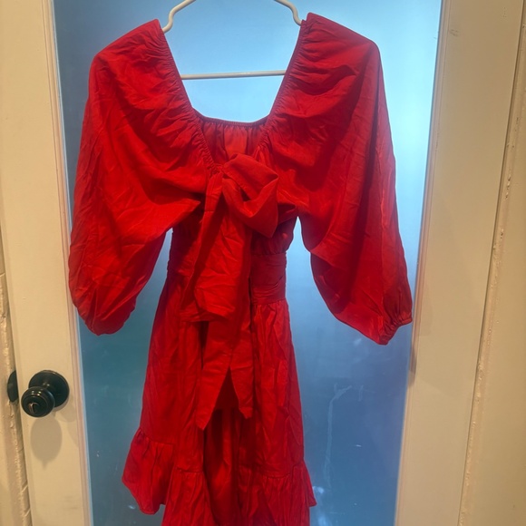 Sweeter With Time Balloon Sleeve Red Dress- Pink Lily - Picture 5 of 7